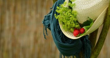 Frauenmanteltee bei Kinderwunsch: Die positiven Effekte der Alchemilla vulgaris hat-1472974_640