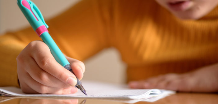maRRitch/shutterstock.com